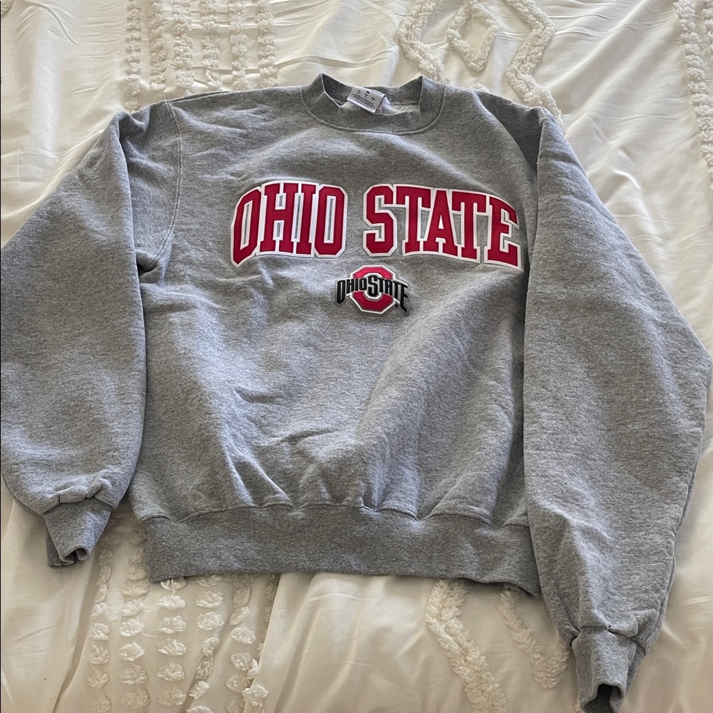 Champion Ohio State Gray and Red Sweater